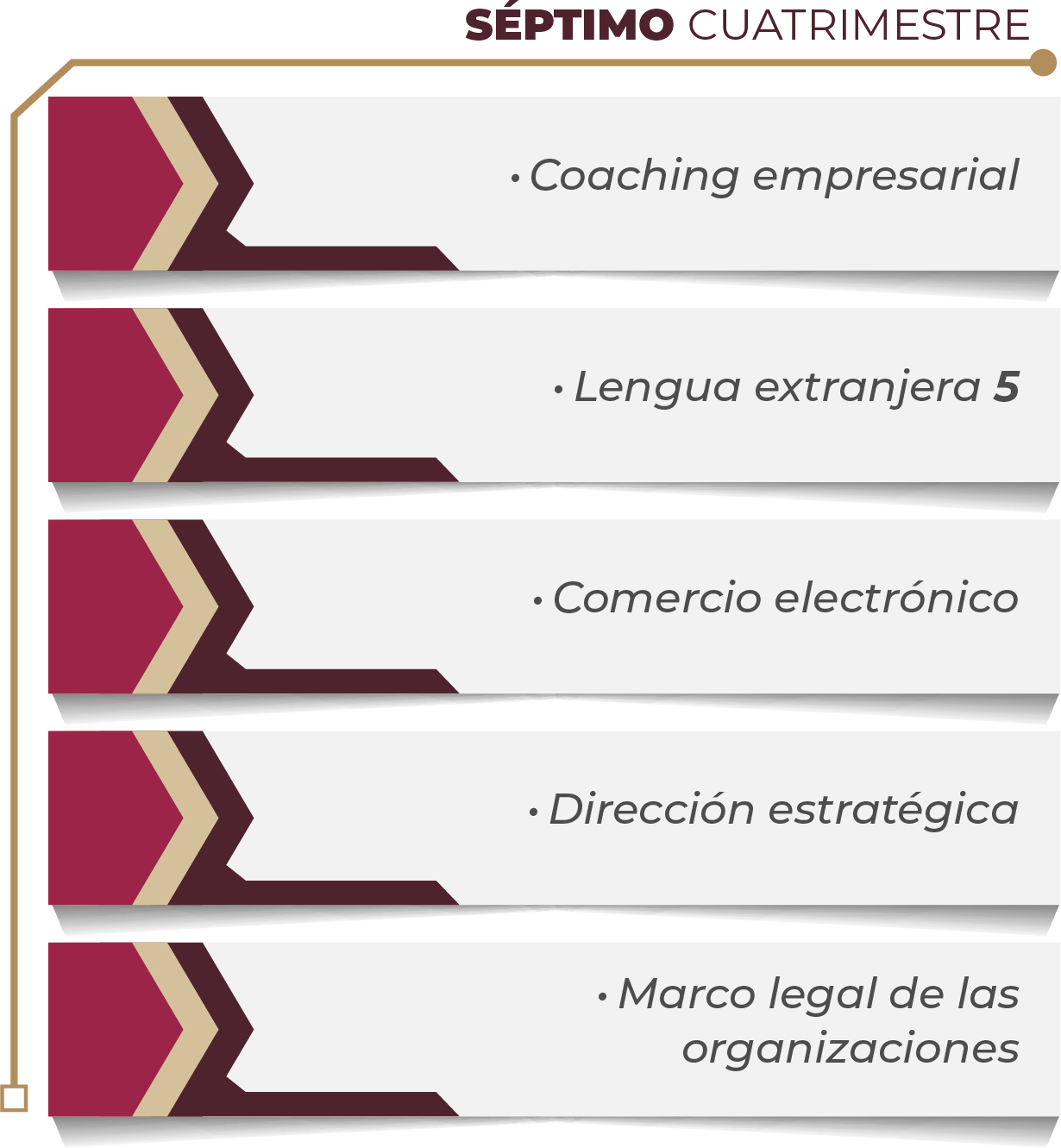 MAPA CURRICULAR GESTIÓN